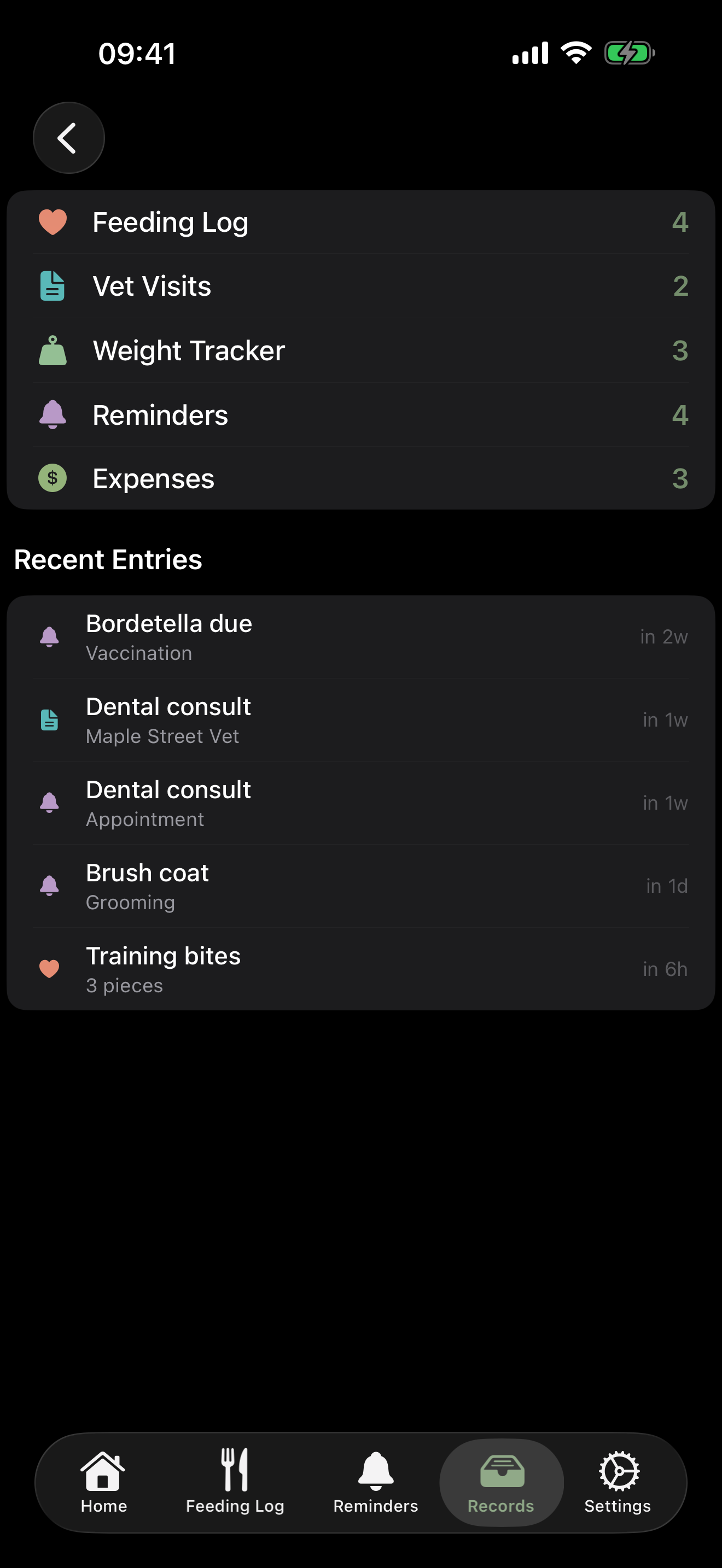 Journal timeline showing record counts and a list of recent entries across categories