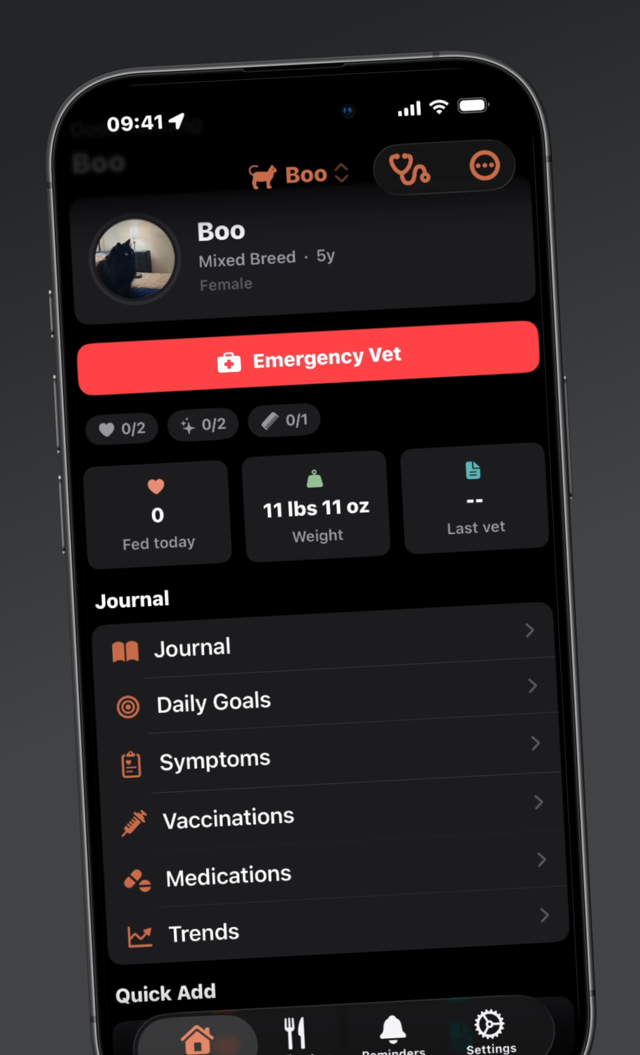 EveryPaw pet profile dashboard showing Boo's care summary